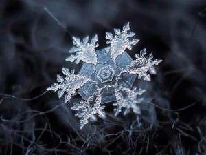 tumblr_mza7x2Kfyo1r94elko1_500